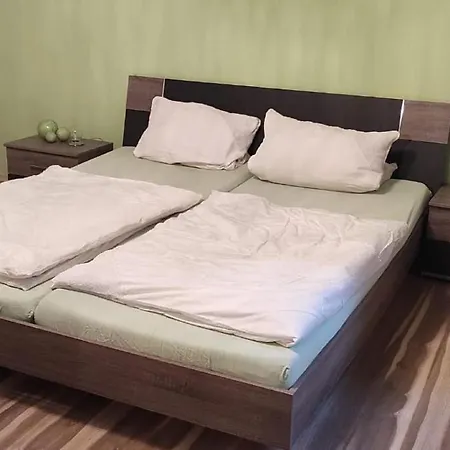 דירה Ferienwohnung Schatzl פרייאונג